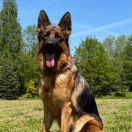 C-WIKI z Mazańcowickiego Wzgórza