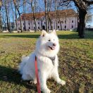 INGRID z Tarnawskiej Riwiery