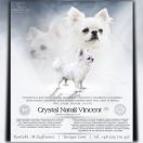 Crystal Natali Vincent 