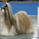 MEKONG JIANG TUFEISARK