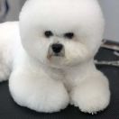 Fam Fatal From Mina`s Fairy Tale