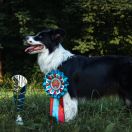 Fasstari (FCI) FULL OF STYLE