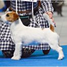 JCHPL CHPL Z Ledulandu MERY-LOU