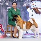 Old Lime's Edition in Gold not Silver 