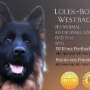 REPRODUKTOR Lolek-Bolo Westback