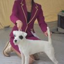 Arctic Crown Versace