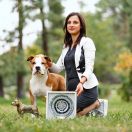 EAGLE FLYING HIGH VIA FORTUNA