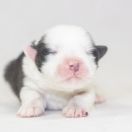 Extra Life Natalaland