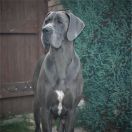 Bora-Bora Casa di amici