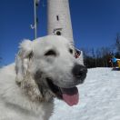 BALANGA Perły Podhala