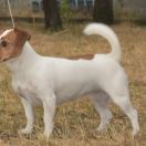 Mira of Magic Sunny Gang 