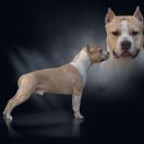 CH,PL NORD KEEPER IWAN z Wiślanego Portu