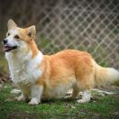 ZONENVELT ZEST FOR LIFE