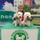 Migotka Moomins Club FCI