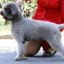 Florence Frise Deluxe 