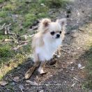 Matylda Mała Nadzieja