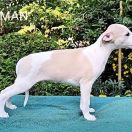 MELMAN Paka Czworaka