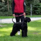 Hot Black Hostess Hexenwiese 