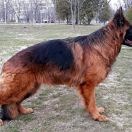 NORD SHTOLTS YUVERIA