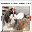 SOZVEZDIE KHRIZANTEM LUX SHOW