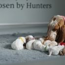 Di Daria Van De Flor Capri 