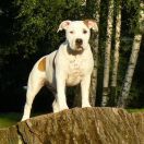 z Grabskiego J.LO.BOO