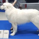 ISKIEREK Złota Grań