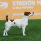 OLENER GETIK SOLVEIG'S SONG