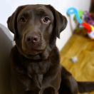 Sofy Urok Pojezierza 