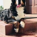 Xenia U Źródeł Wisły 