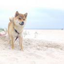 EMIKO z Zakątka Izi