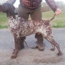 Bruce Arturowi Sfora