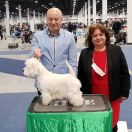 SHIMMER OF THE RING Czar Krakowa