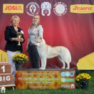 Gemchugina Severa Juliana Queen of the Elves