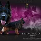 Eldorado Wolf Lake FCI