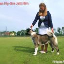 Finigan Fiy-Gre Jetti 