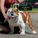 Luis Red star IZ doma Gritsenko 