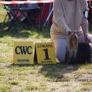 LUCAS Caro Amico FCI Mł.Ch.Pl. Ch.Pl.