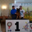 Vac-Vagvolgyi Tallyn