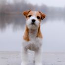 CANDY COVER GIRL HEAVENLY-BLESSING