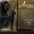 ANDREAS Coronegra FCI