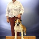 Yapafoto Tapamieux mijn Konti 