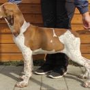 Consuelo Della Radura