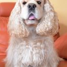 B'YANKA SOKROVISCHE SKIFOV