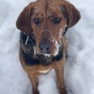 Kalina Słopnicka Przełęcz 