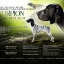 Scorpion des Hauts de Rouillac