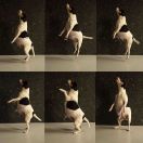 ZOJA z Grodu Kopernika