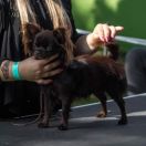 GATSBY Babimojskie Gniazdo