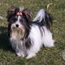 Angel Alminero FLORIDA