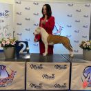 Royal Highness Via Fortuna